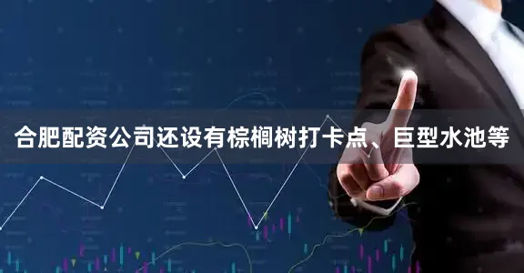 合肥配资公司还设有棕榈树打卡点、巨型水池等