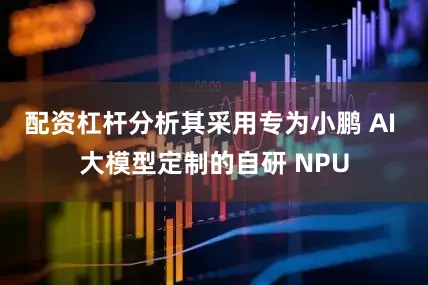 配资杠杆分析其采用专为小鹏 AI 大模型定制的自研 NPU