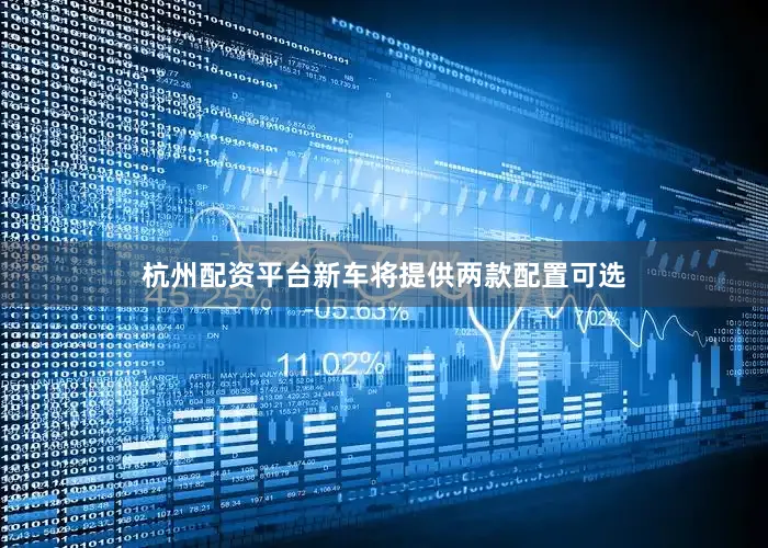 杭州配资平台新车将提供两款配置可选