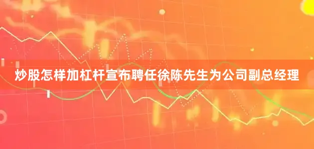 炒股怎样加杠杆宣布聘任徐陈先生为公司副总经理